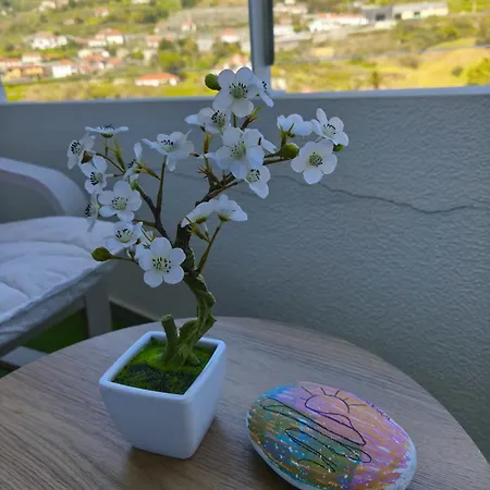 Апартаменты Art House Madeira Iii - With Pool Канису